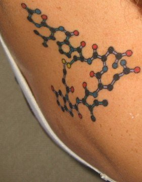 oxytocin molecule. note the sulfide bridge.